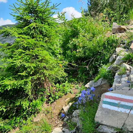 Siedlisko Babia Gora * Zawoja