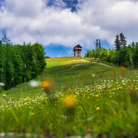 Séjour chez l'habitant Siedlisko Babia Gora