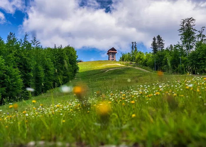 בית אירוח Siedlisko Babia Gora